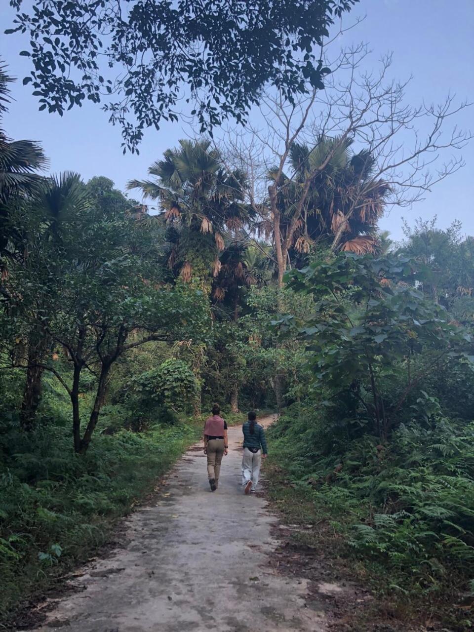 Bikki'S Jungle Homestay Ha Giang Exteriér fotografie