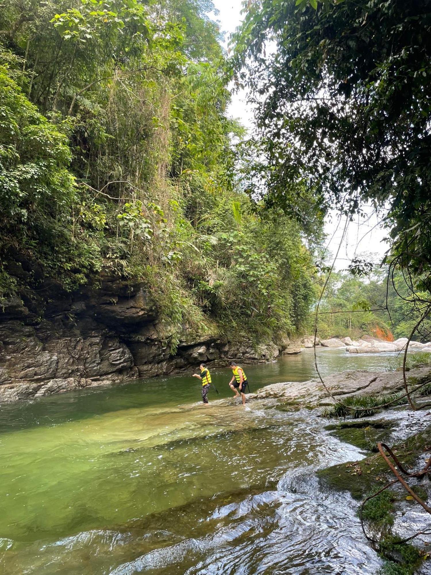 Bikki'S Jungle Homestay Ha Giang Exteriér fotografie