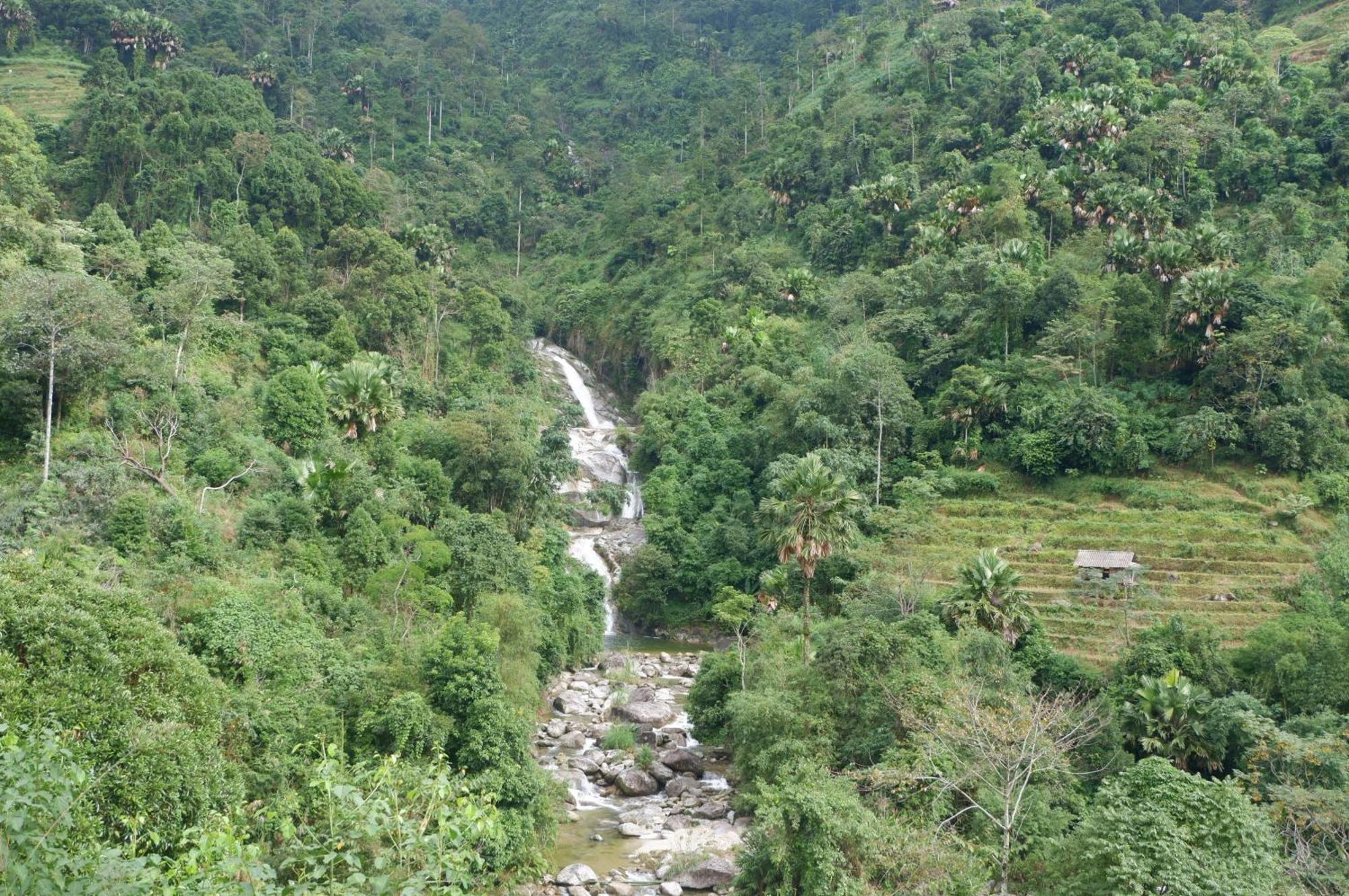 Bikki'S Jungle Homestay Ha Giang Exteriér fotografie