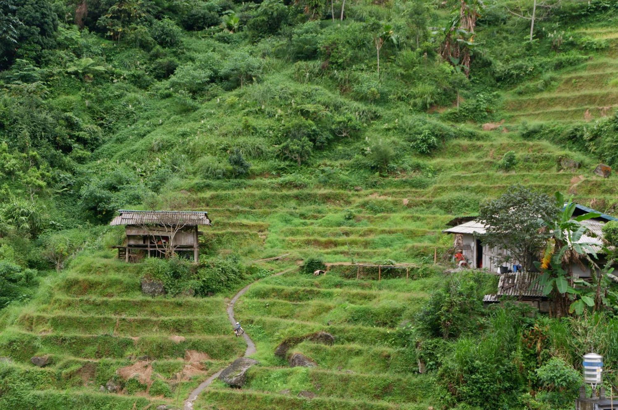 Bikki'S Jungle Homestay Ha Giang Exteriér fotografie