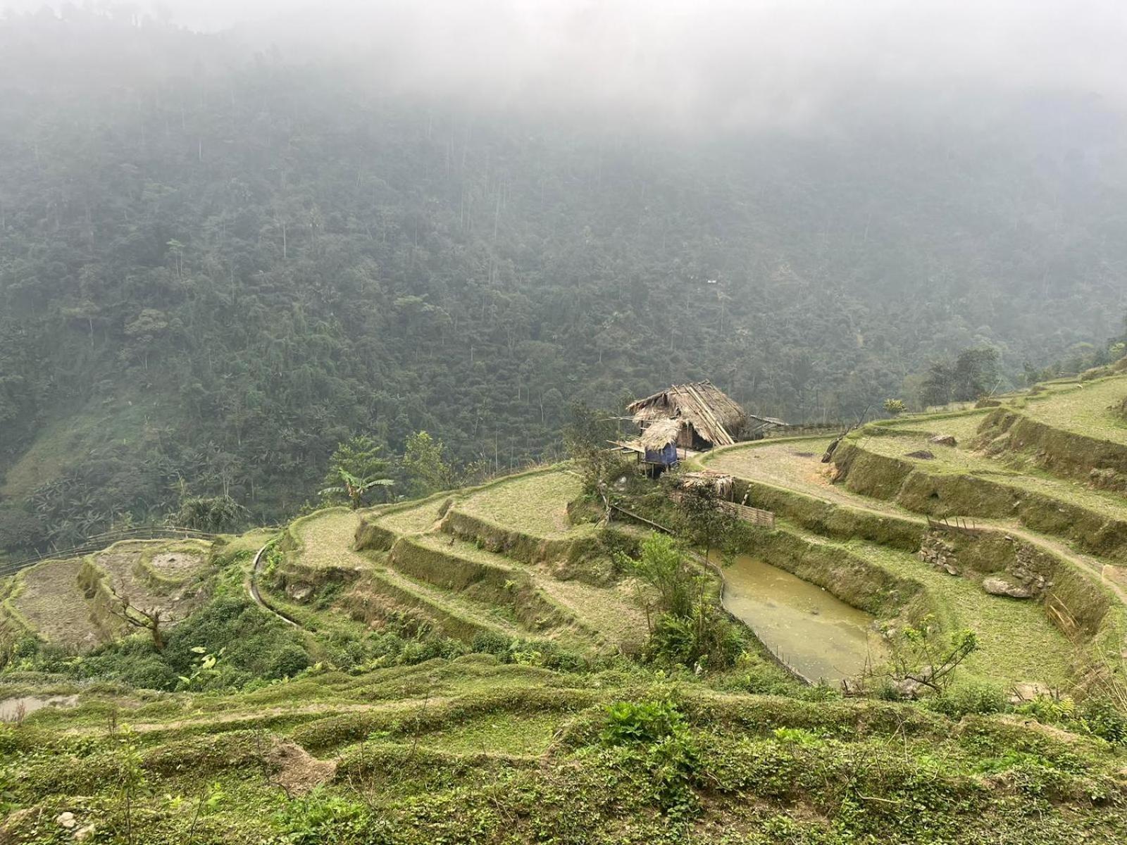 Bikki'S Jungle Homestay Ha Giang Exteriér fotografie