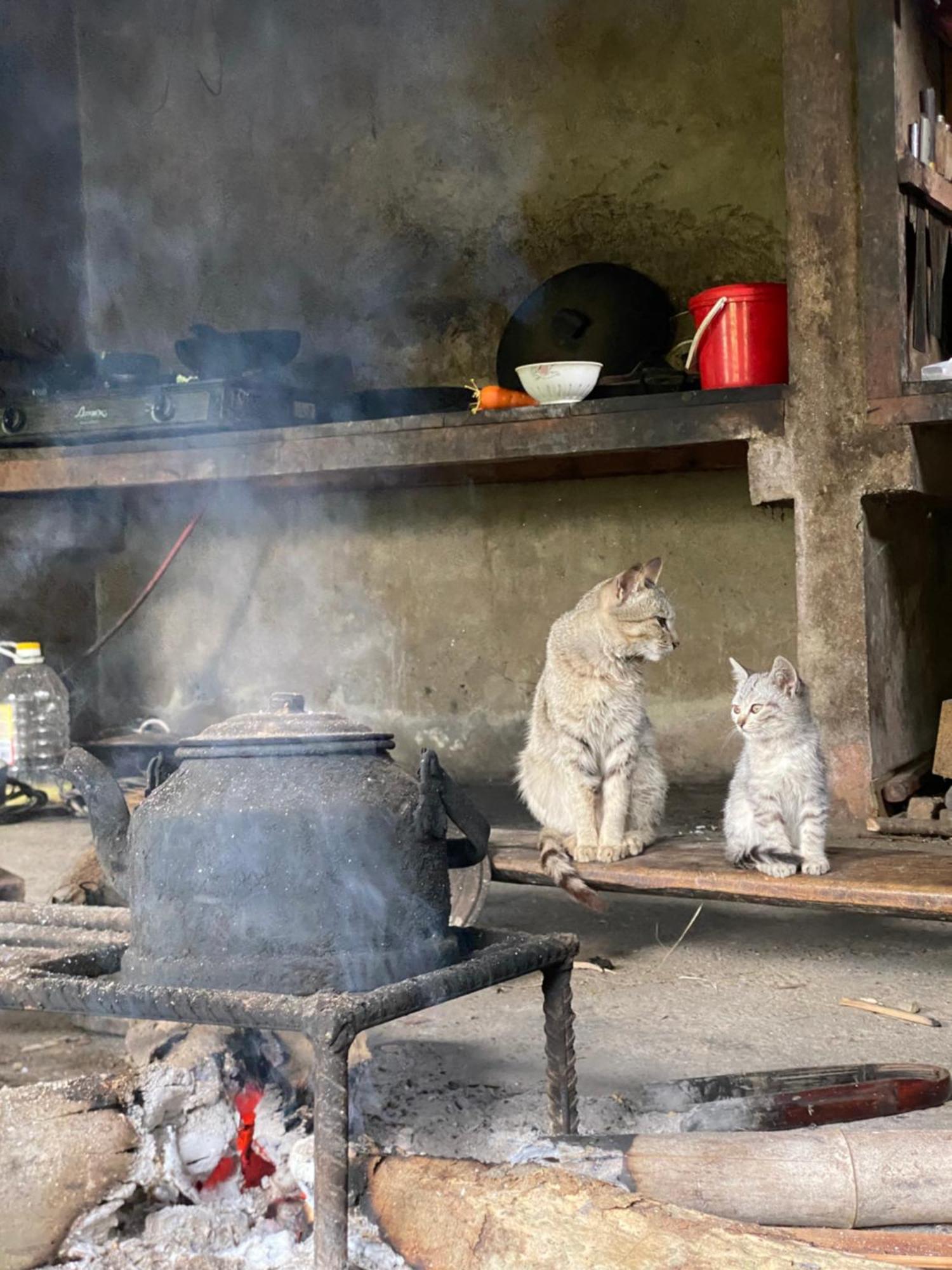 Bikki'S Jungle Homestay Ha Giang Exteriér fotografie
