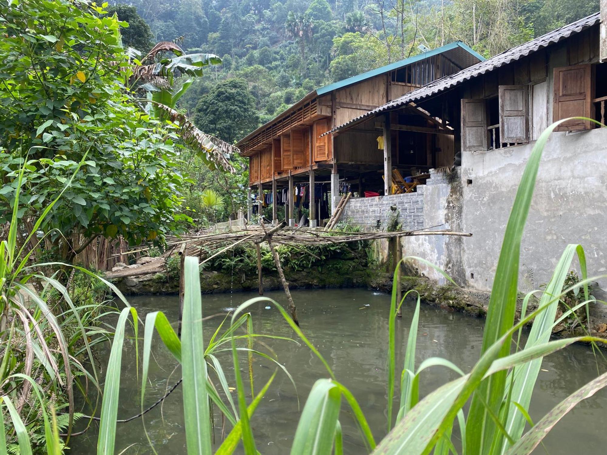 Bikki'S Jungle Homestay Ha Giang Exteriér fotografie