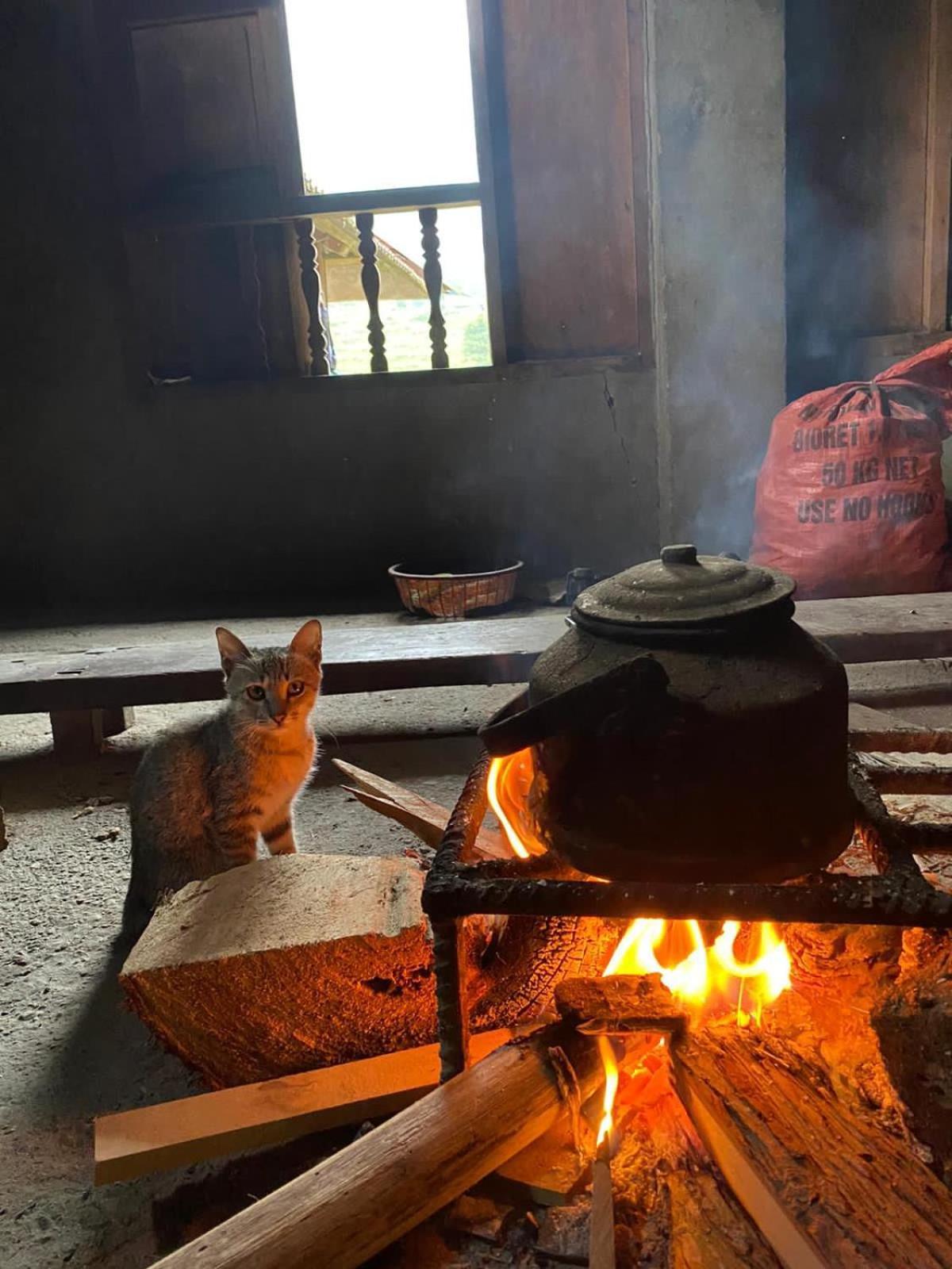 Bikki'S Jungle Homestay Ha Giang Exteriér fotografie