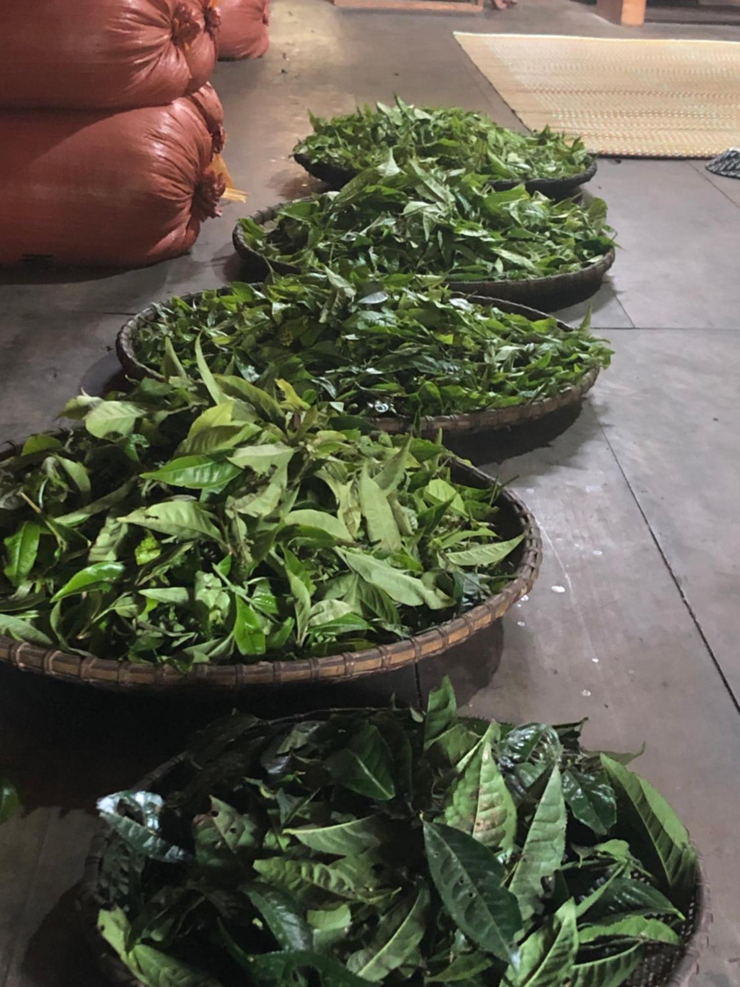 Bikki'S Jungle Homestay Ha Giang Exteriér fotografie