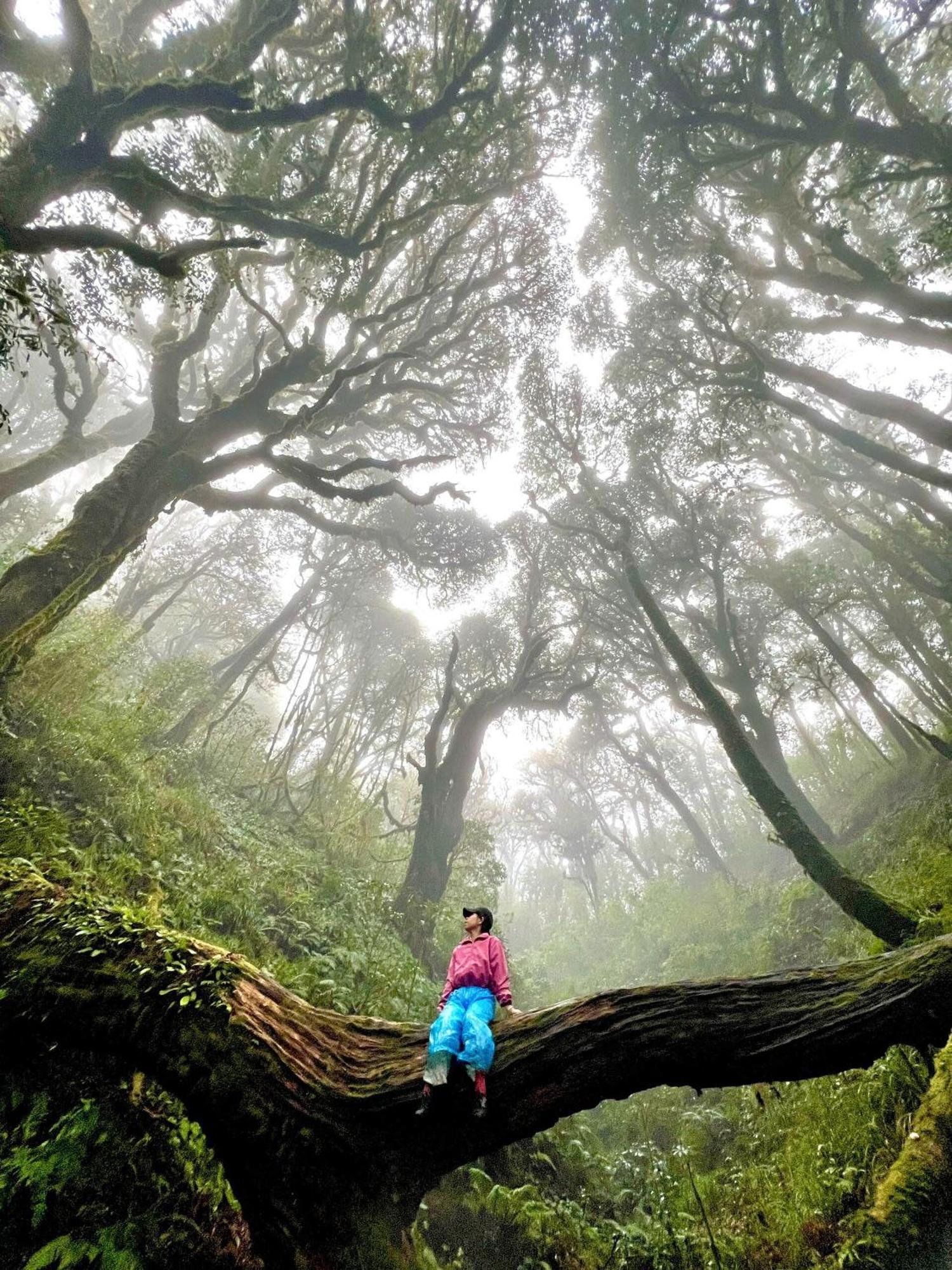 Bikki'S Jungle Homestay Ha Giang Exteriér fotografie