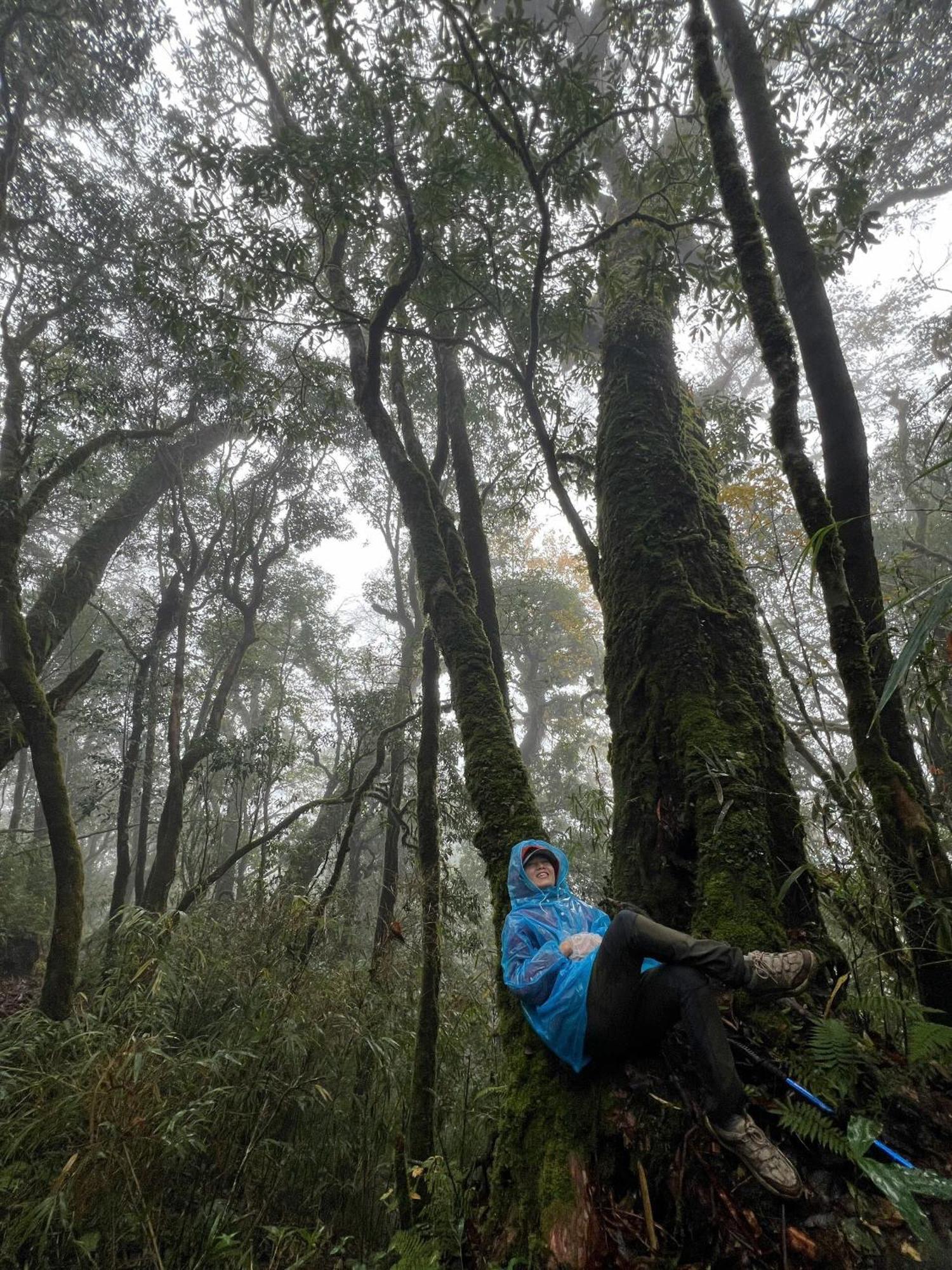 Bikki'S Jungle Homestay Ha Giang Exteriér fotografie